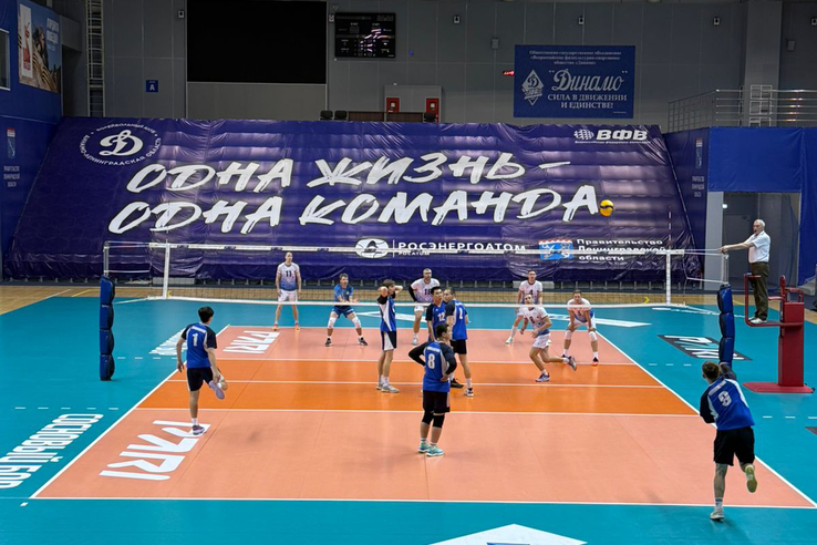 Чемпионат Ленинградской области по волейболу среди мужских команд