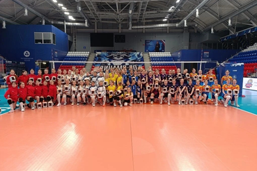 Весенние ласточки