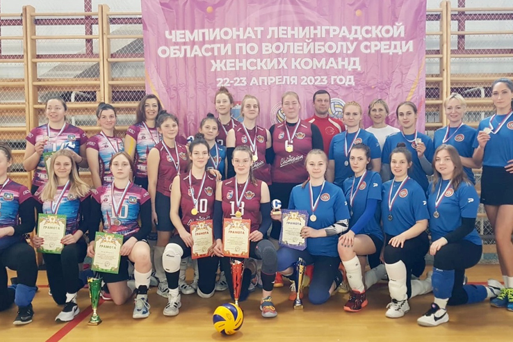 Чемпионат Ленинградской области по волейболу среди женских команд