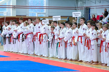 Тхэквондо в Выборге