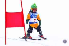 Соревнования по горнолыжному спорту и по фристайлу в дисциплине ски-кросс.