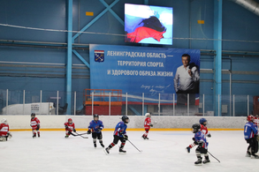 СК «Ладога Арена» Областной Фестиваль детских хоккейных команд 2015 г.р., приуроченный ко Дню народного единства