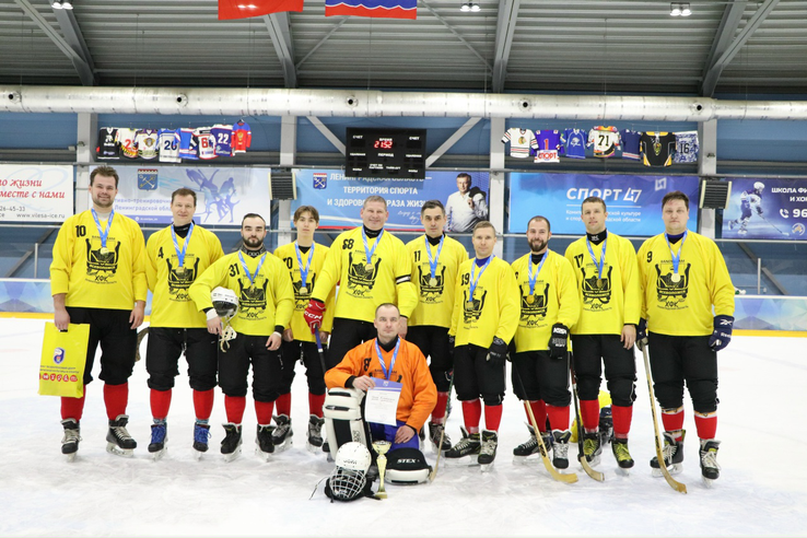 Чемпионат Ленинградской области по хоккею с мячом