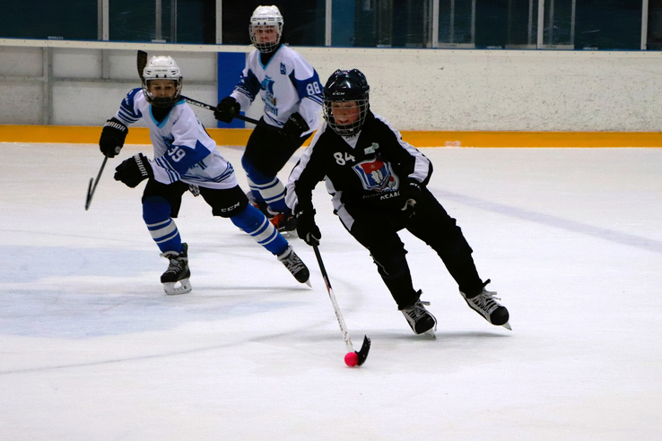 Первенство Ленинградской области по хоккею с мячом среди детских команд