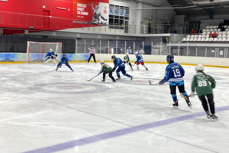 Первенство Ленинградской области по хоккею с мячом