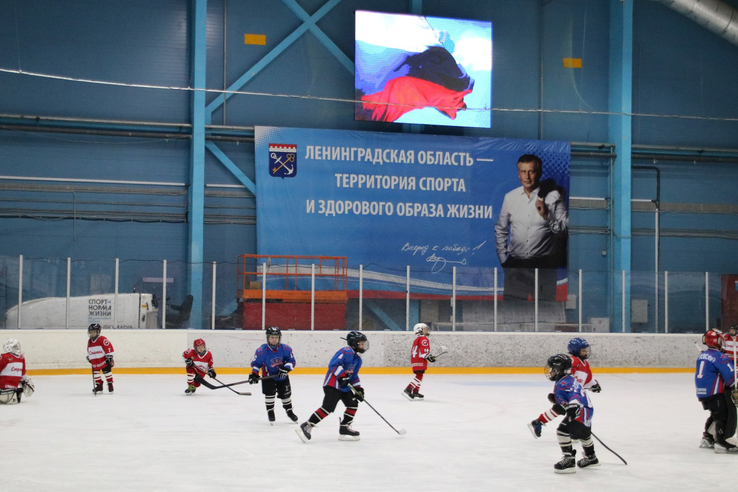 Областной Фестиваль детских хоккейных команд 2015 г.р., приуроченный ко Дню народного единства