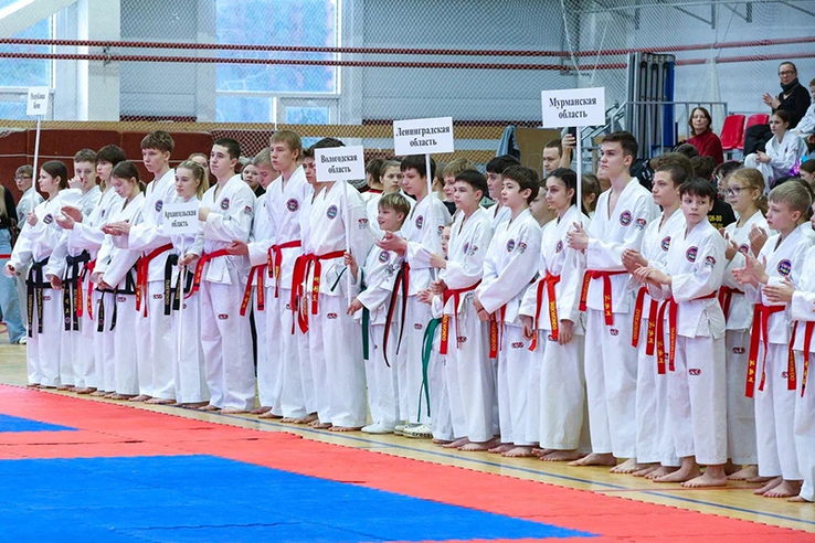 Тхэквондо в Выборге