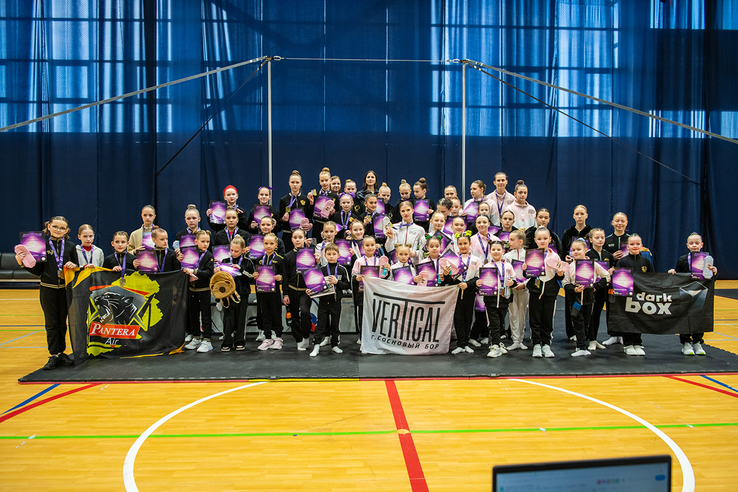 Пилонный спорт