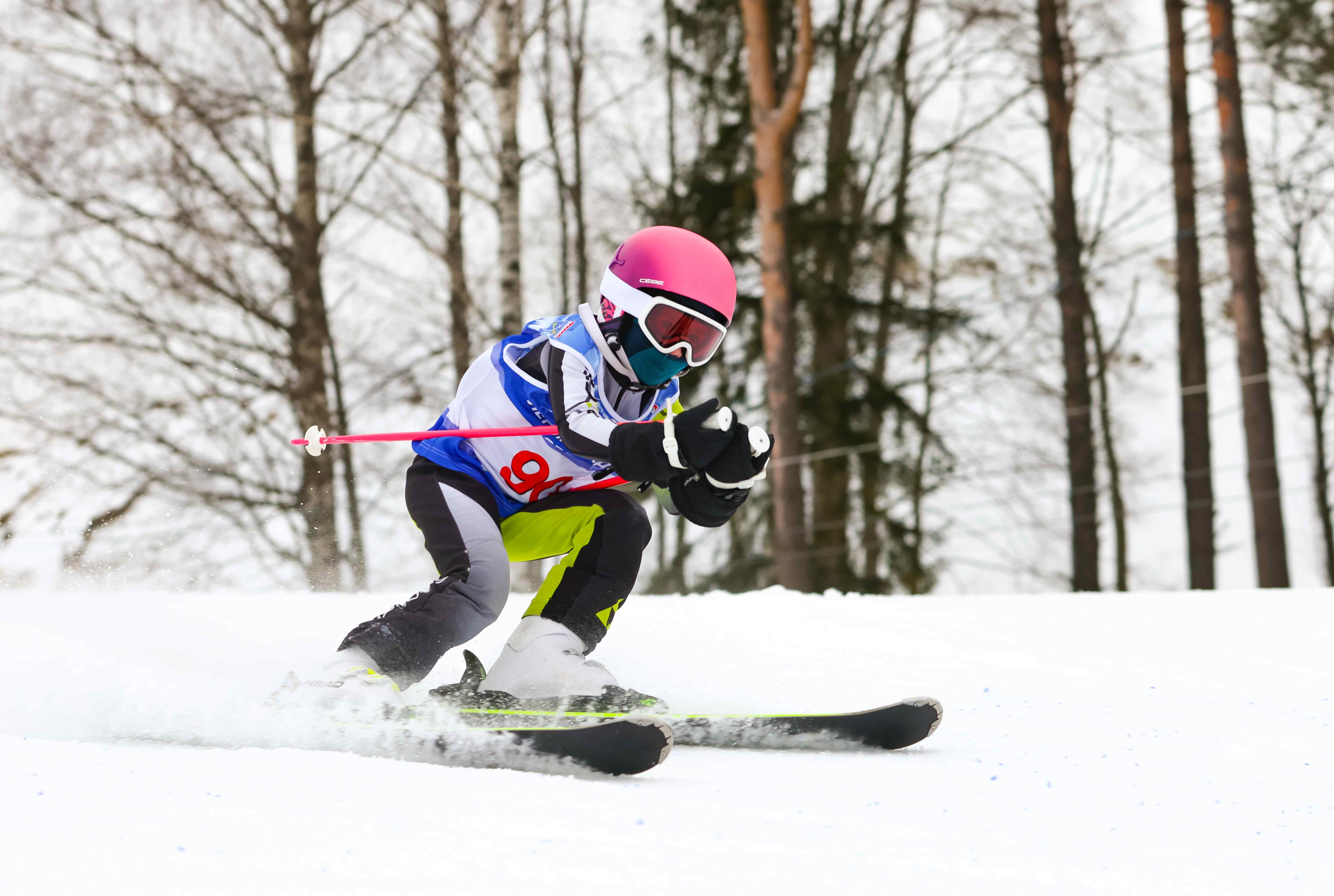 Ски кросс вид спорта